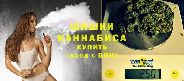 сатива Заволжье