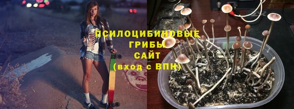 сатива Заволжье